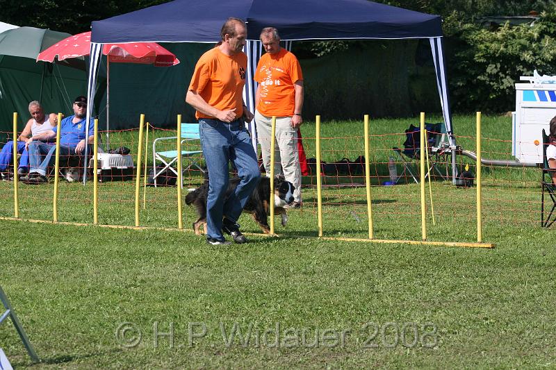 jubil.lusten. 231.jpg